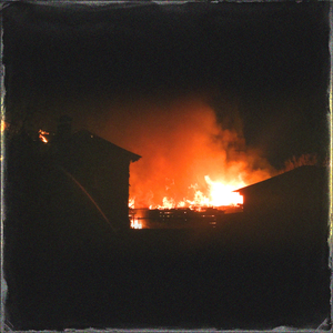 美女脱掉内裤让男人插射视频
