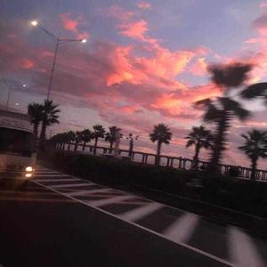 美女脱掉内裤让男人插射视频
