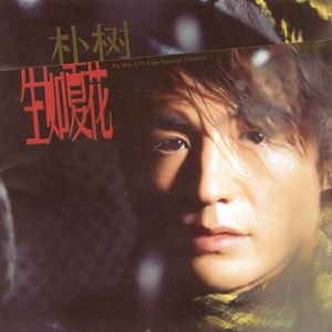 美女脱掉内裤让男人插射视频
